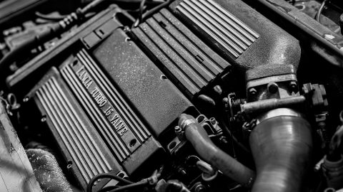 Автоіндустрія в Польщі має успіх завдяки українським жінкам